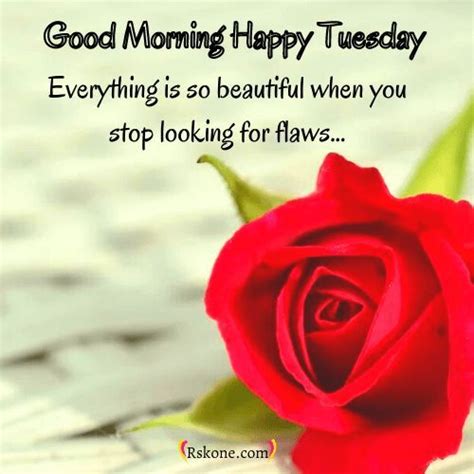 a red rose sitting on top of a table next to a quote that says good morning happy tuesday