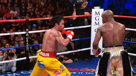 The undefeated boxer then reveals a massive stack of. Animación nos dice cómo será la pelea Mayweather vs McGregor