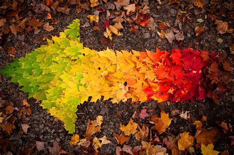 Autumn Chromebook Wallpapers - Wallpaper Cave