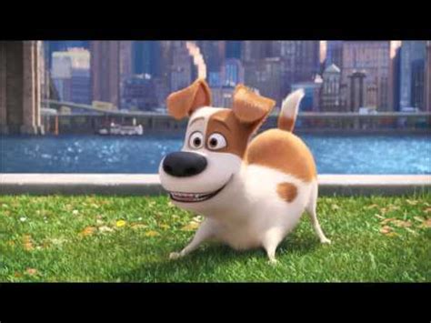 Cartoon Animal Story Cast Video - YouTube