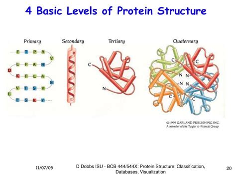 Ppt Protein Structure Classification Databases