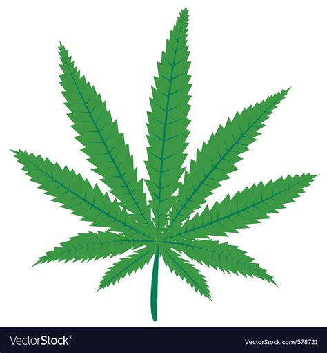 Marijuana leaf Royalty Free Vector Image - VectorStock
