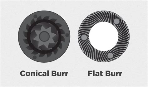 We did not find results for: Conical vs Flat Burr Grinder in 2020 (With images ...