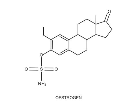 Icono De Estrógeno Estructura Molecular Química Del Estrógeno Signo