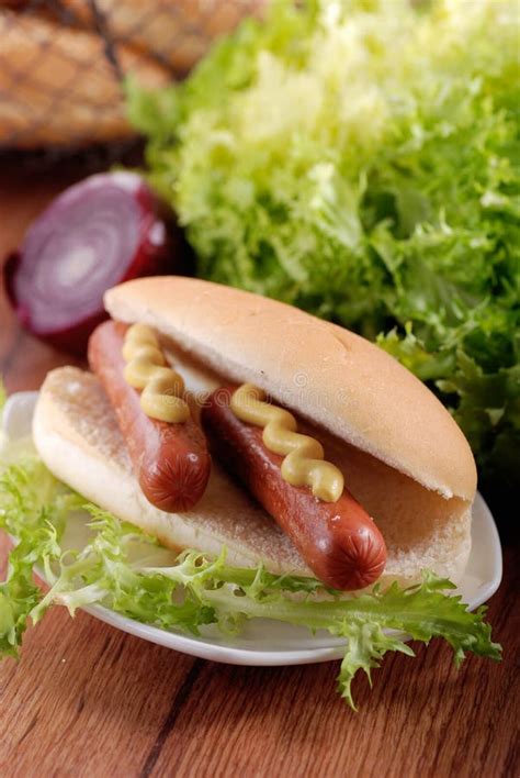Hot Dog With Mustard Stock Photo Image Of Mustard Snack 28701266