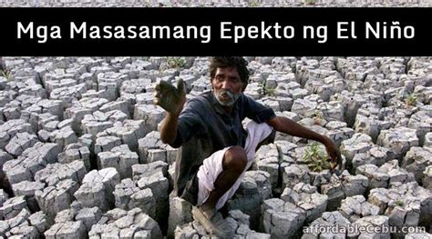 Sanaysay Tungkol sa Masamang Epekto ng El Niño  Literature 30544