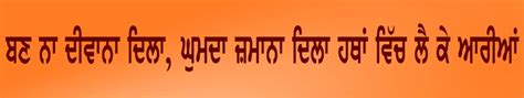 Apna Punjab: Punjabi Dosti Shayari