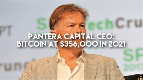 If wild fluctuations like these. CEO of Pantera Capital Predicts $356,000 Bitcoin Price by ...
