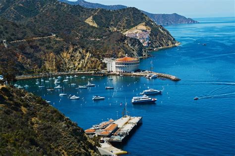 Is Catalina Island Worth Visiting 15 Best Things