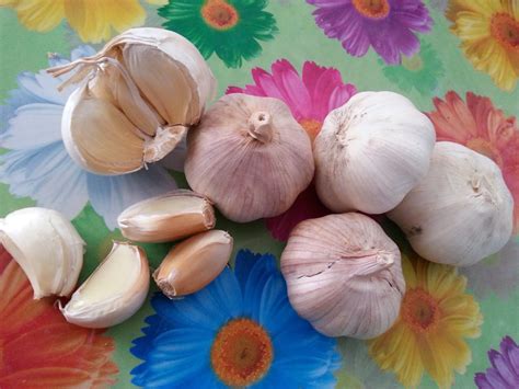 (analysis of onion beneﬁ ts toward kata kunci: GojezVitamin