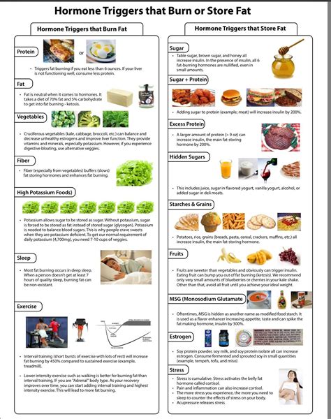 Belly Fat Burning Foods List Diet Plan Rezfoods Resep Masakan Indonesia