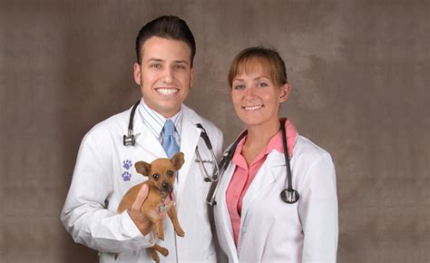 Rancho regional veterinary hospital in rancho cucamonga, ca is a modern full service companion animal hospital which opened in december of 2007. Rancho Regional Veterinary Hospital - Full-Service Animal ...
