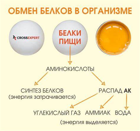 Чем запустить метаболизм и ускорить обмен веществ в организме и похудеть