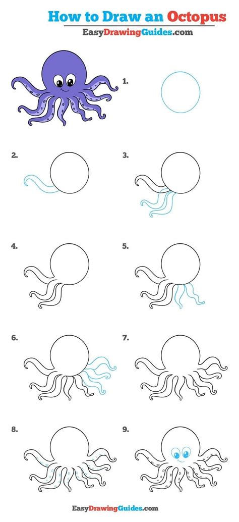 Draw it tilted to one side. How to Draw an Octopus - Really Easy Drawing Tutorial ...