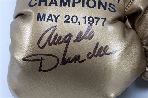 Lot Detail Angelo Dundees 1977 Everlast Gold Boxing Gloves