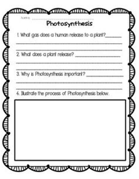 After answering questions to help determine their level of knowledge, learners work with chemical equations and graphic representations to better understand how photosynthesis. What is Photosynthesis? | science work | Pinterest ...
