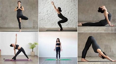 Some basic alignments you here in class can be point knee forward, stretch the spine, straighten and extend legs, lift kneecaps, tone quads, tone glutes, straighten and extend arms. 15 Basic Yoga Asanas for Beginners You Must Know to Get ...