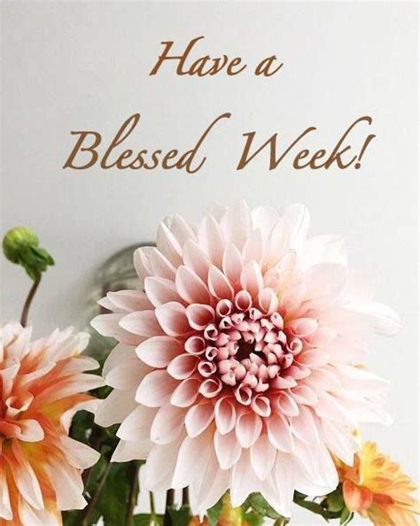 111 Best Have A Blessed Week Images On Pinterest