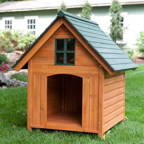 Dog House - Dogs For People