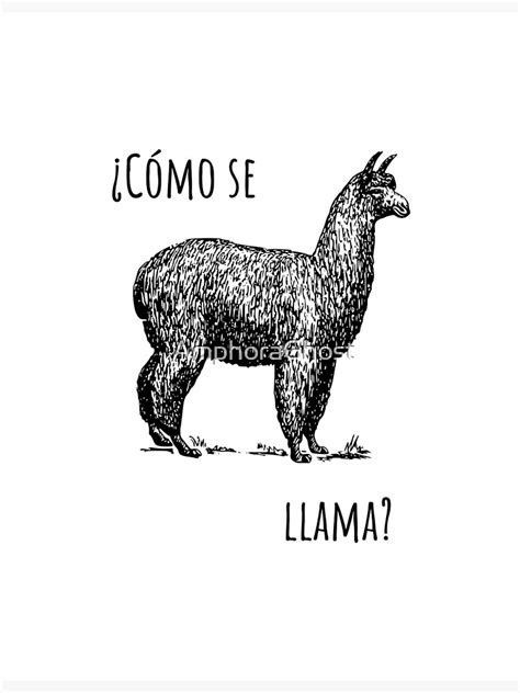 Como Se Llama Whats Your Name In Spanish Funny Llama T Poster