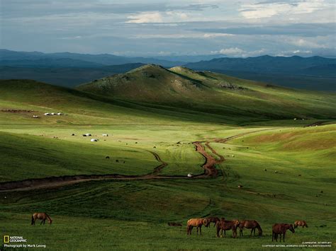 Horses Mongolian Steppe Ulaanbaatar National Geographic Photos