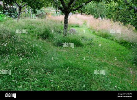 Mown Path Through Long Grass Garden Hi Res Stock Photography And Images