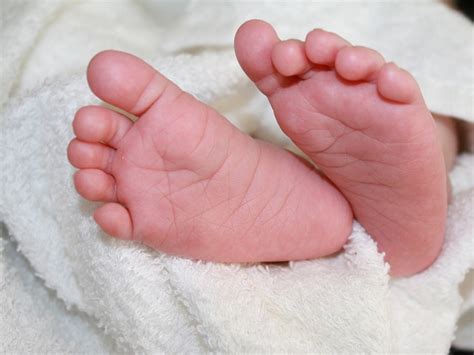 Baby Fuß Zehen Kostenloses Foto Auf Pixabay Pixabay