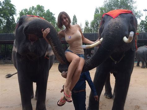 Indian Wedding Elephants Gif My XXX Hot Girl