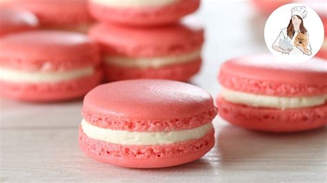 How To Make Macarons Perfect Macaron Recipe The Busy