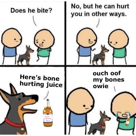 Bone Hurting Dog Rbonehurtingjuice