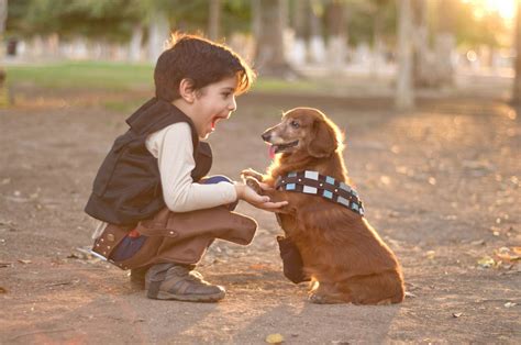 As i mentioned, a new puppy is much like a toddler, in fact the similarities are quite amazing and the combination of the two can be. Here's a Reason to Get a Puppy: Kids With Pets Have Less Anxiety - NBC News