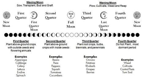 Farmers Almanac Planting Guide By The Moon Arm Designs