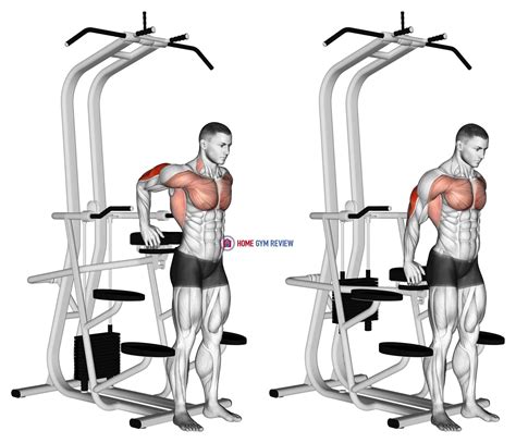 Assisted Standing Triceps Dip Home Gym Review