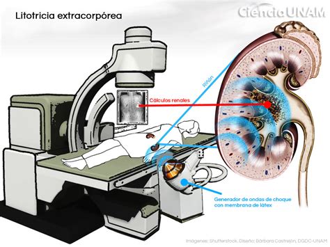 Simple Science: How to Make a Volcano with Kids