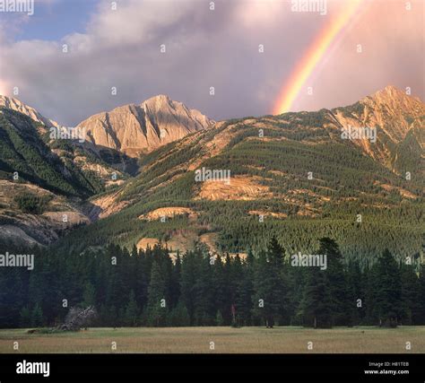 Rainbow Over Colin Range Jasper National Park Alberta Canada Stock