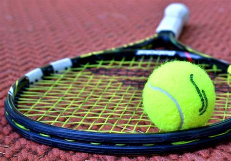 Free Photo Tennis Sport Court Tennis Ball Racket Exercise Max Pixel