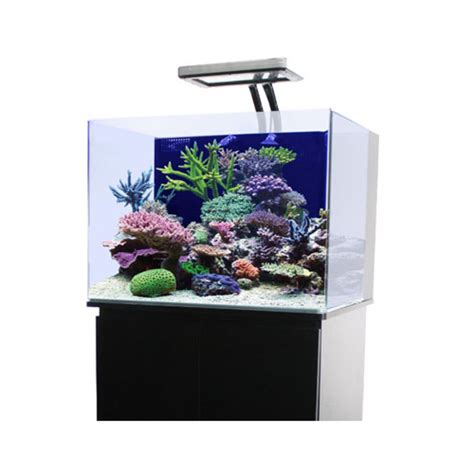 Jbj 45 Gallon Rimless Cube Aquarium Only Premium Aquatics
