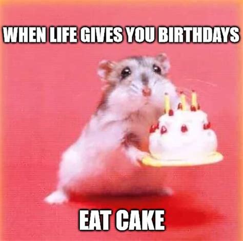 Top Birthday Cake Meme Idealitz