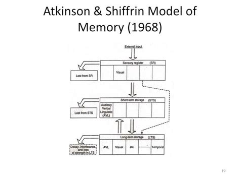 Storage for flash, sd and micro sd media. PPT - Sensory Memory and Short-Term (Working) Memory ...