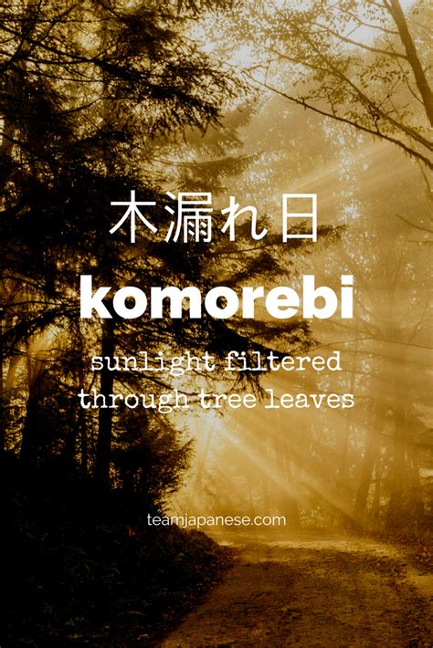 Komorebi The Japanese Word For Sunlight Filtered Through Trees For