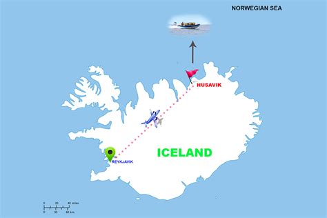 Chasing Whales Norwegian Sea Iceland — Premjith Narayanan