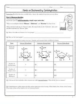1.what is the relationship between glucose, fructose, and galactose? Hands-on Biochemistry: Carbohydrate Structure with Beads | TpT