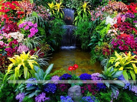 Free Download Beautiful Flower Garden Flower Forest Cool Wallpapers
