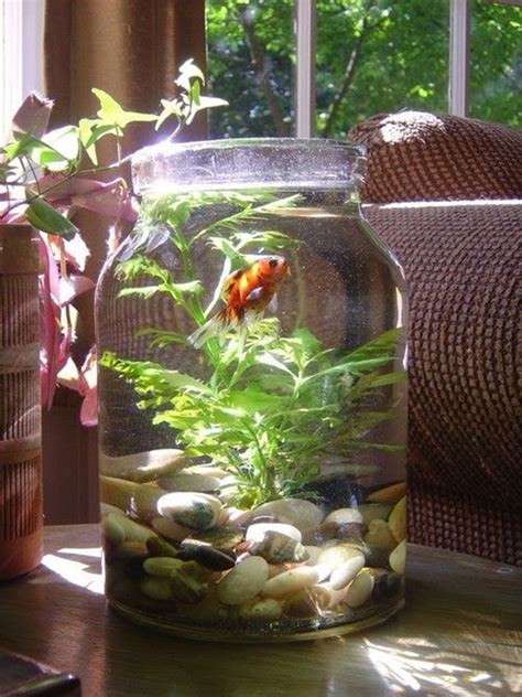 We did not find results for: large-creative-mason-jars-fish-tank-ideas | HomeMydesign