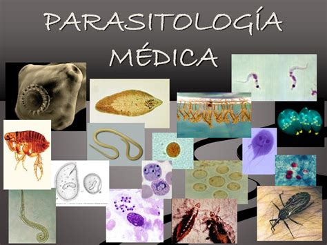 O Q é Parasitologia