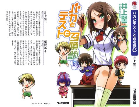 Baka To Test To Shoukanjuu Tập 65 Illustration Sonako Light Novel