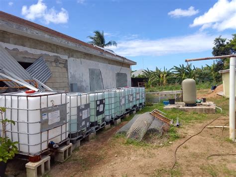 cayman community farm initiative proves to be fruitful cayman compass