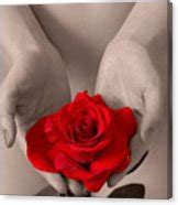 Beautiful Nude Woman Holidng Red Rose Photograph By Maxim Images Prints