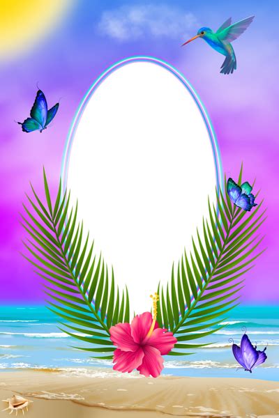 In the large gold frame png gallery, all of the files can be used for commercial purpose. Exotic Summer PNG Transparent Frame | Frames and Borders ...