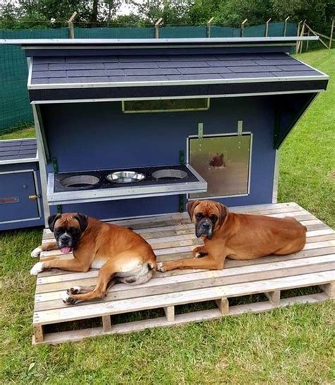 18 Chilly Outdoor Dog Beds That Are Also Comfortable And You Must See